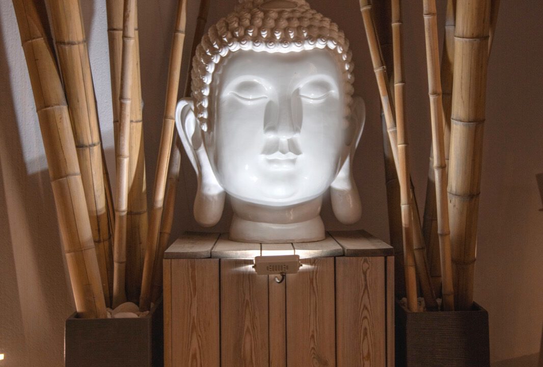 WhatsApp-Image-2023-06-29-at-9.53.19-AM