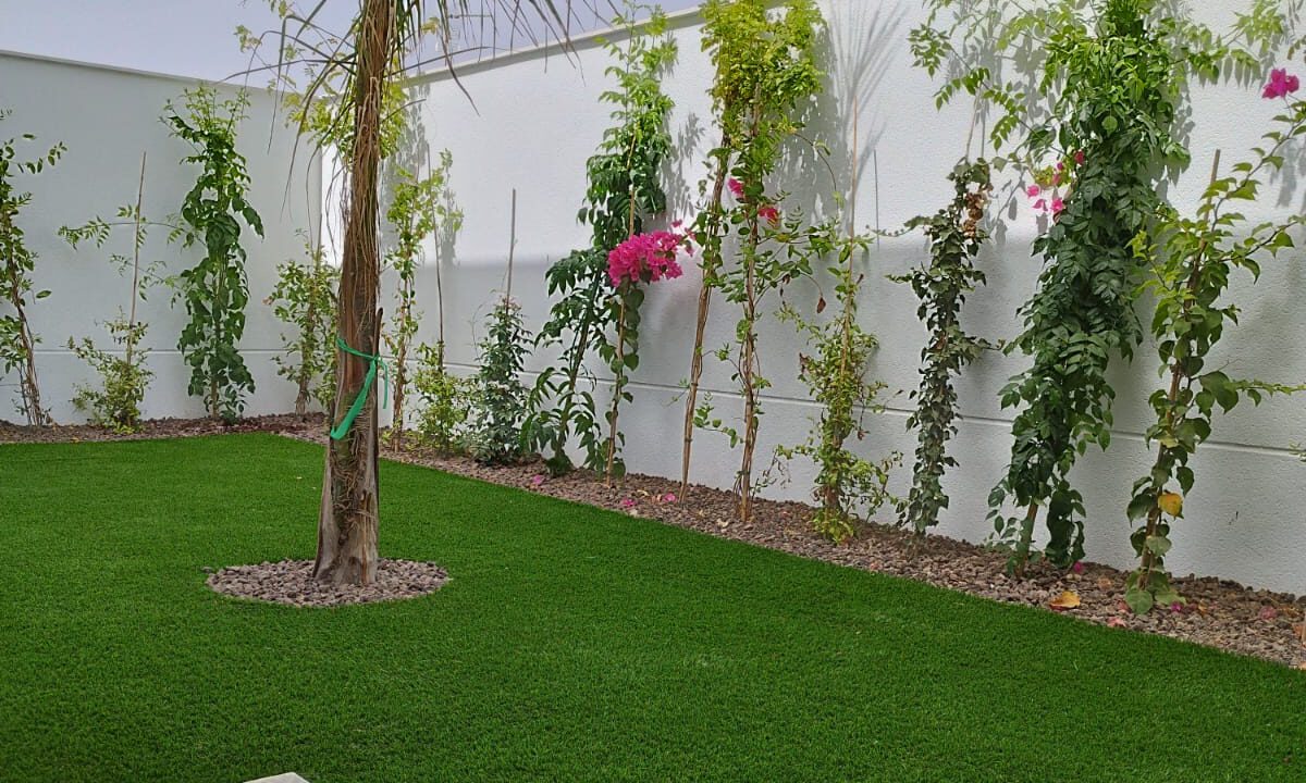 PHOTO-2023-08-10-18-26-06-2