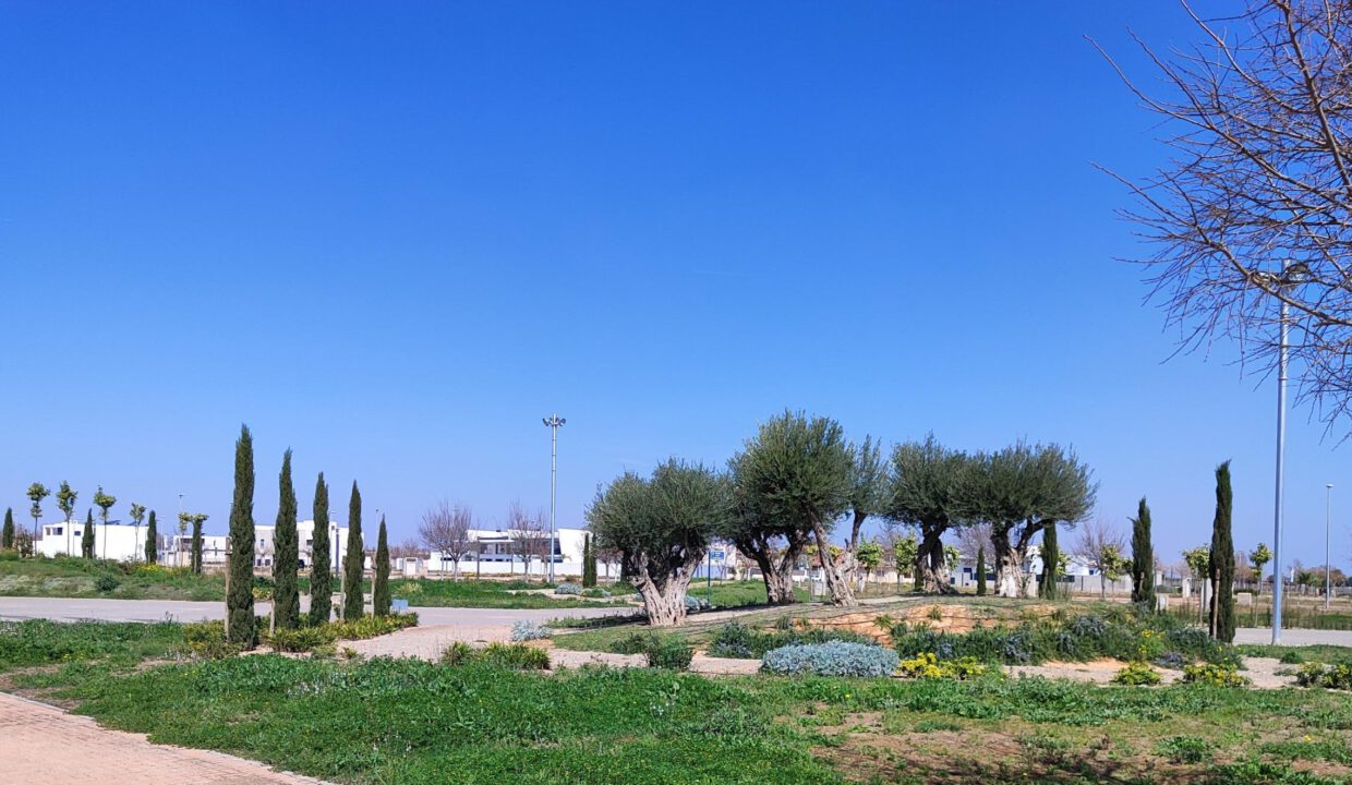 1679488304769-002-scaled