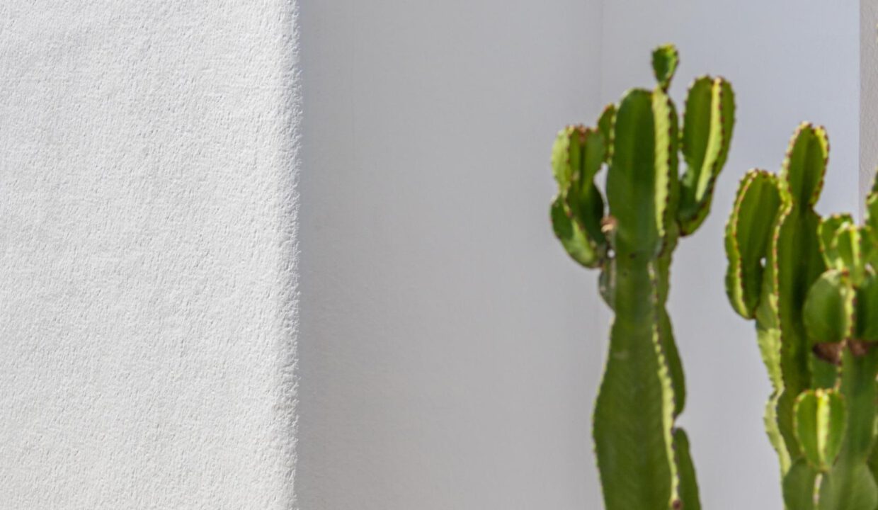 ALTA-RESOLUCION-9-scaled