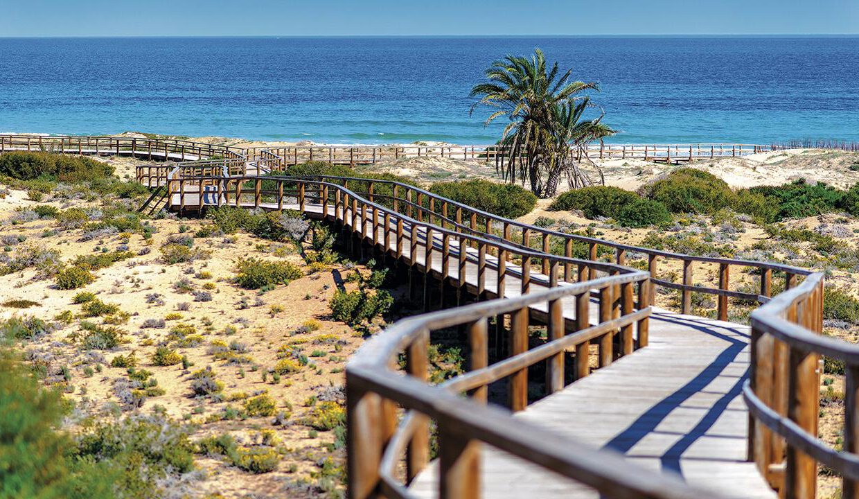 C9-Los-Arenales-del-Sol-beach-Alicante