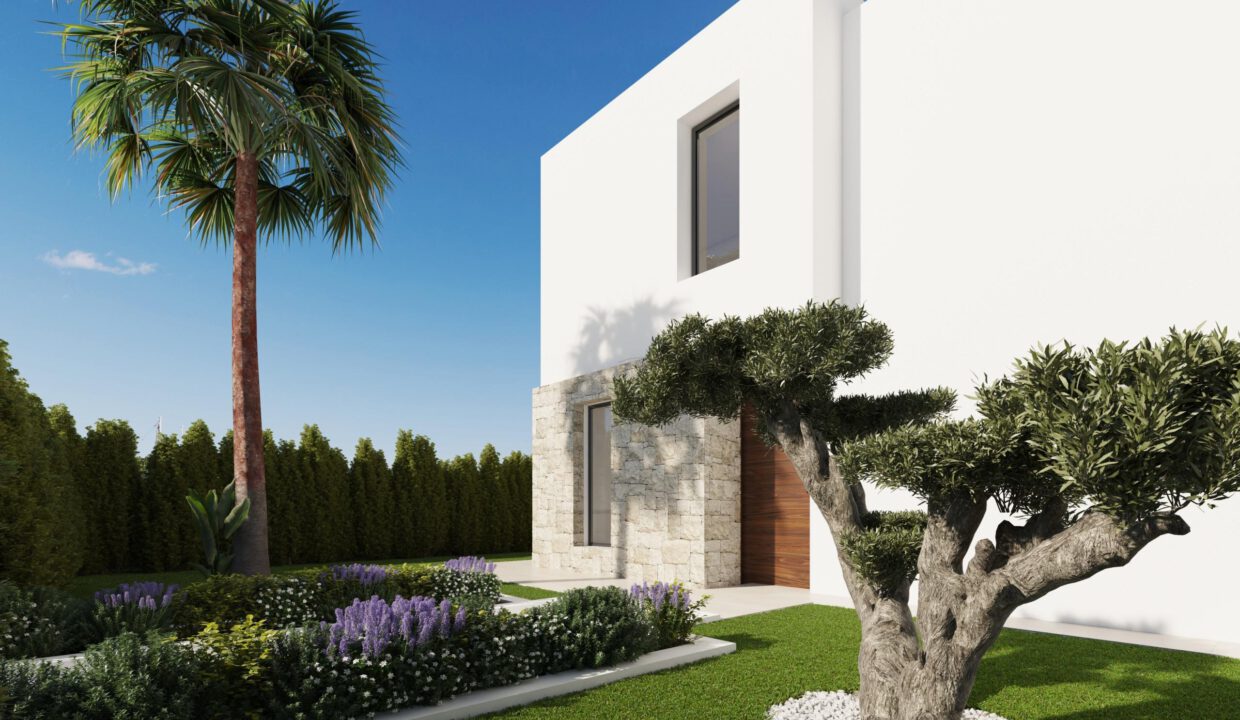 Vista-trasera-scaled